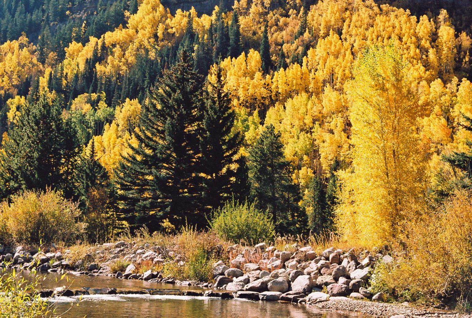 Vail Racquet Club Mountain Resort Buitenkant foto